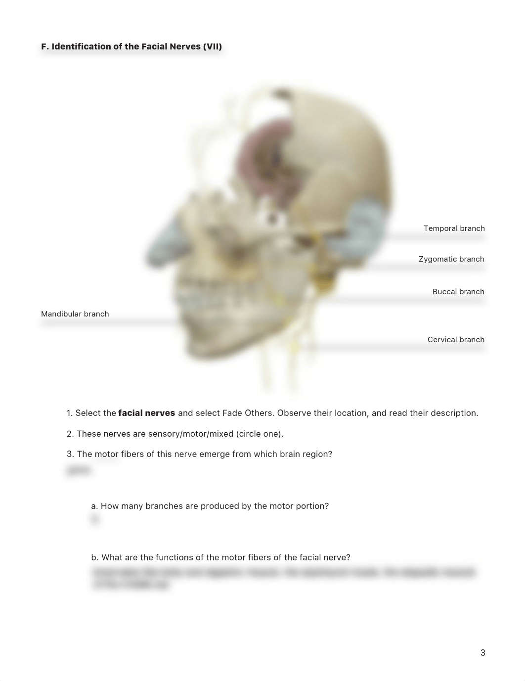 lab manual_cranial nerves_atlas_part_2 copy BIo 200-L23.pdf_d3p3w5ir6oh_page3