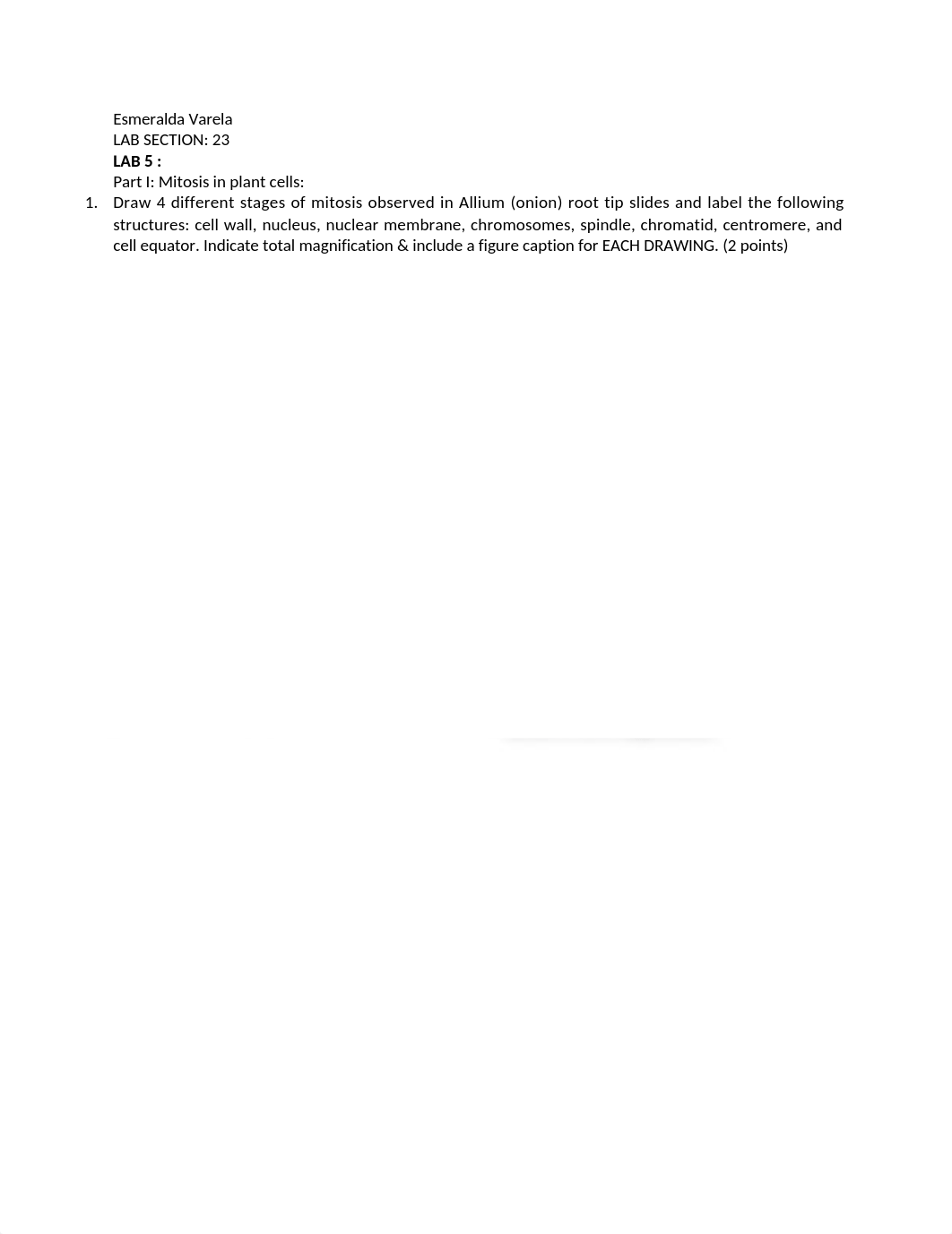 Lab 5 .docx_d3pcla8emwa_page1