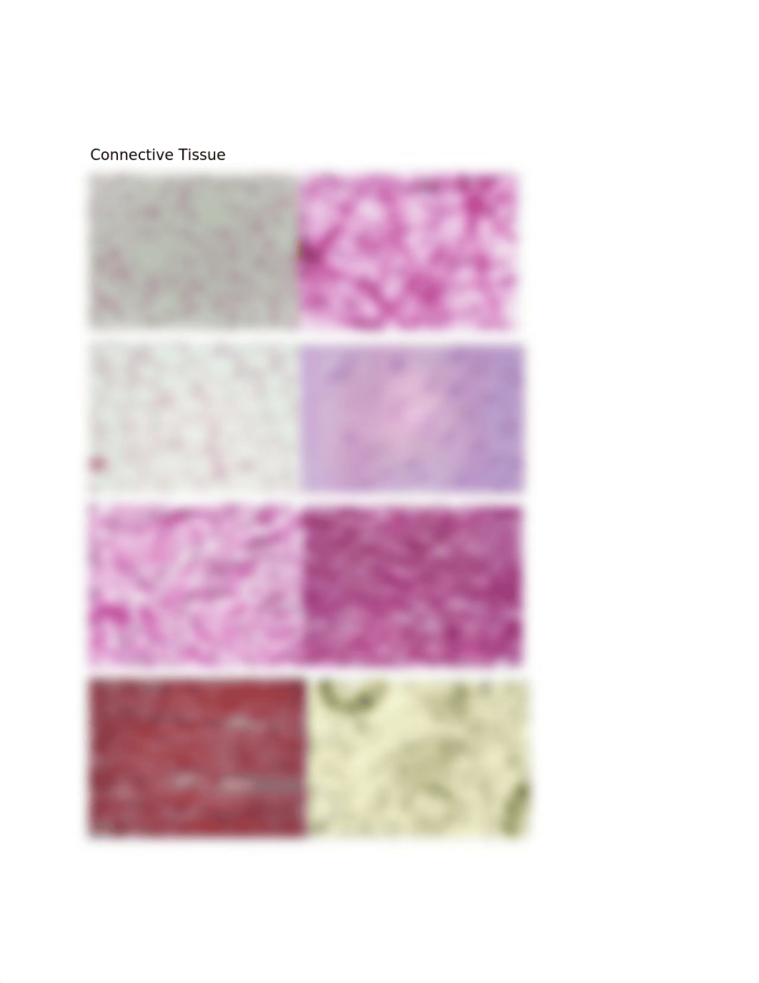 Histology (1).docx_d3pmnl1ry4g_page3