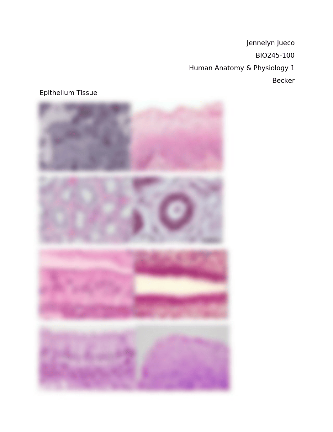 Histology (1).docx_d3pmnl1ry4g_page1