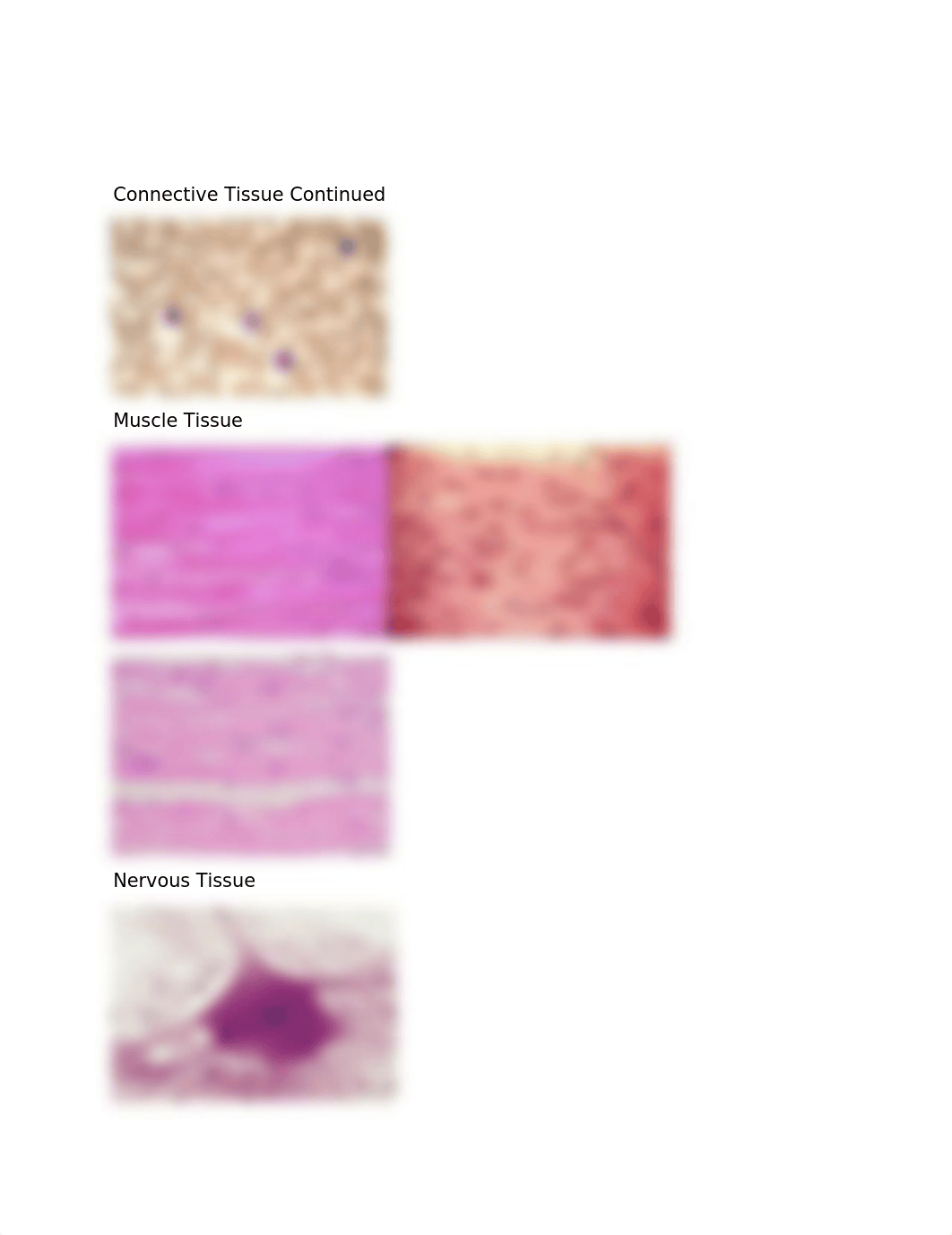 Histology (1).docx_d3pmnl1ry4g_page4