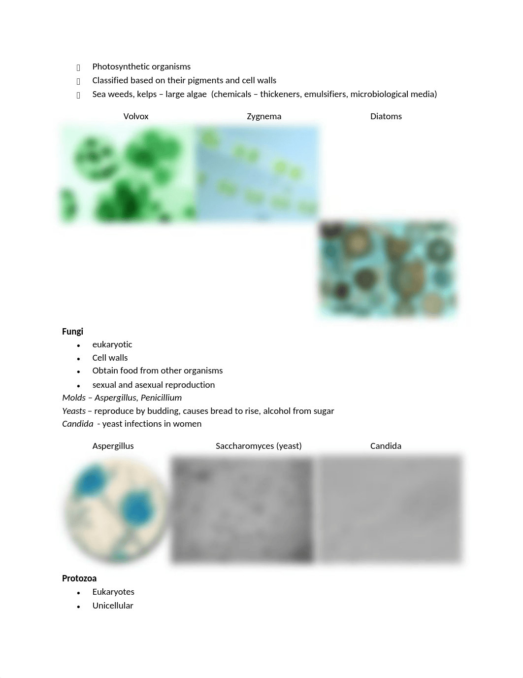 LAB EXAM I -Review.doc_d3ptsdvo14p_page2