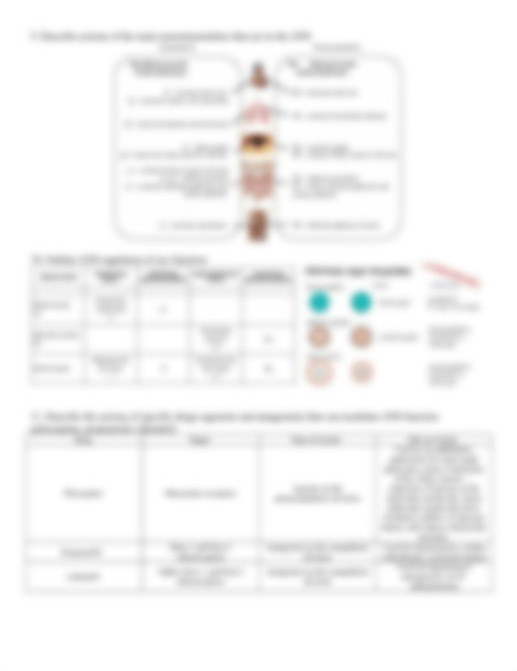 Introduction to Autonomic Nervous System Function.docx_d3pwv4uj735_page2