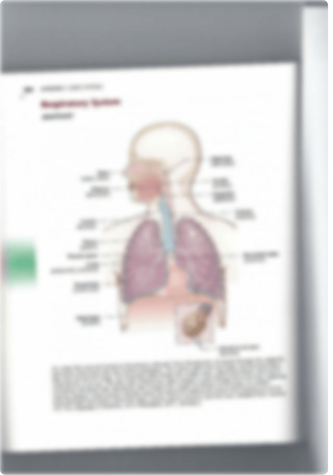 Medical Terminology Booklet.pdf_d3pxyz7mzty_page2