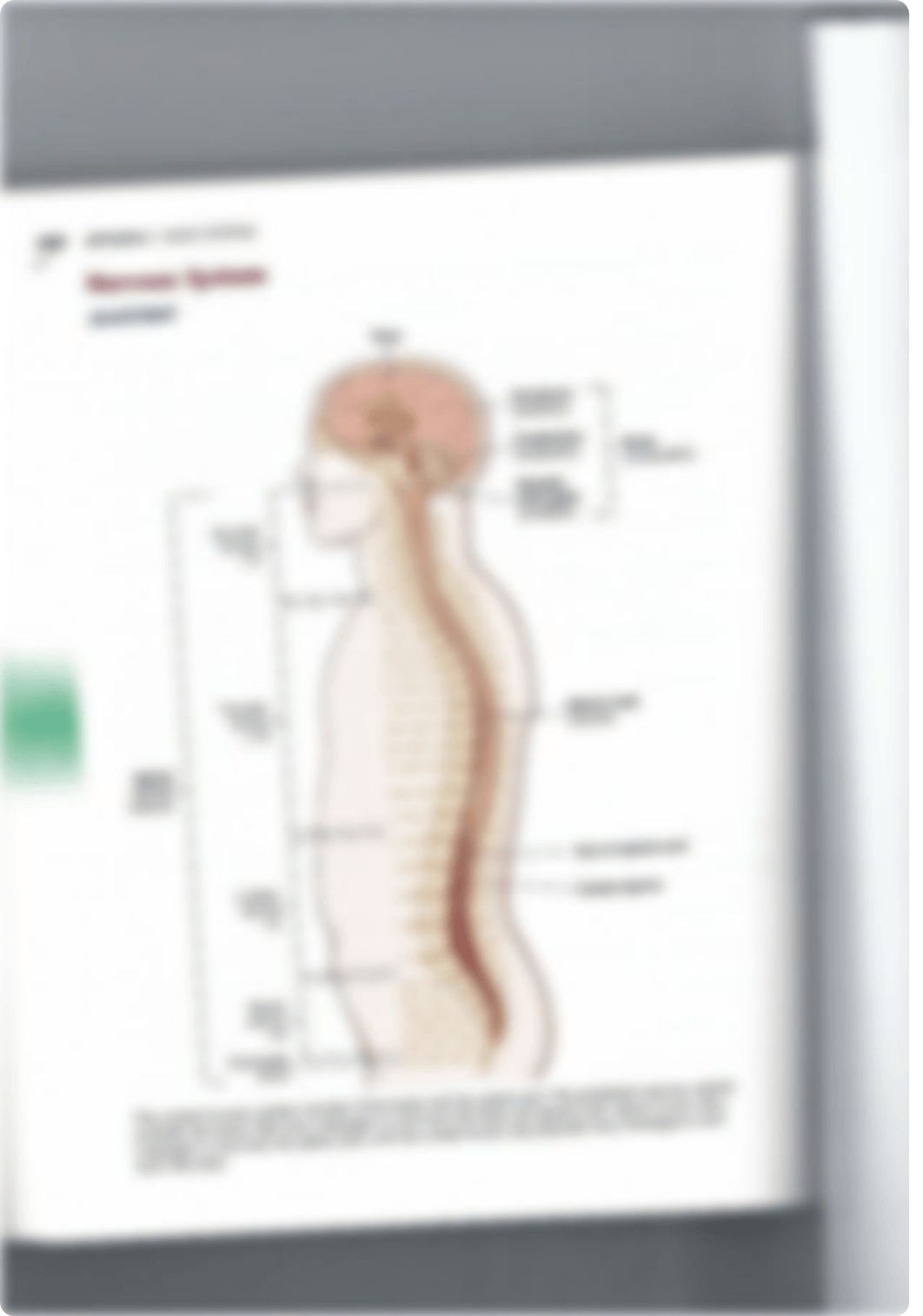 Medical Terminology Booklet.pdf_d3pxyz7mzty_page5