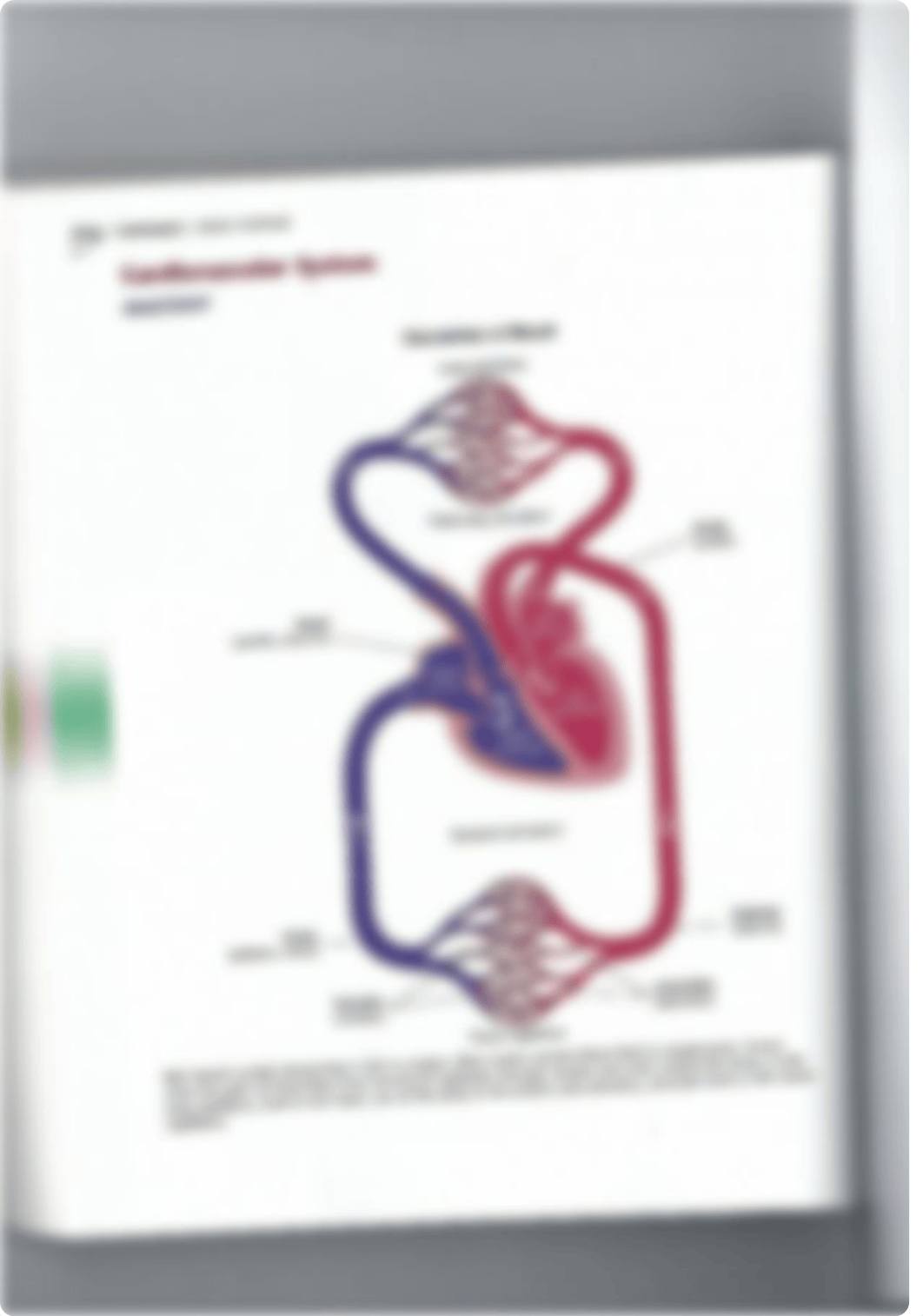 Medical Terminology Booklet.pdf_d3pxyz7mzty_page3