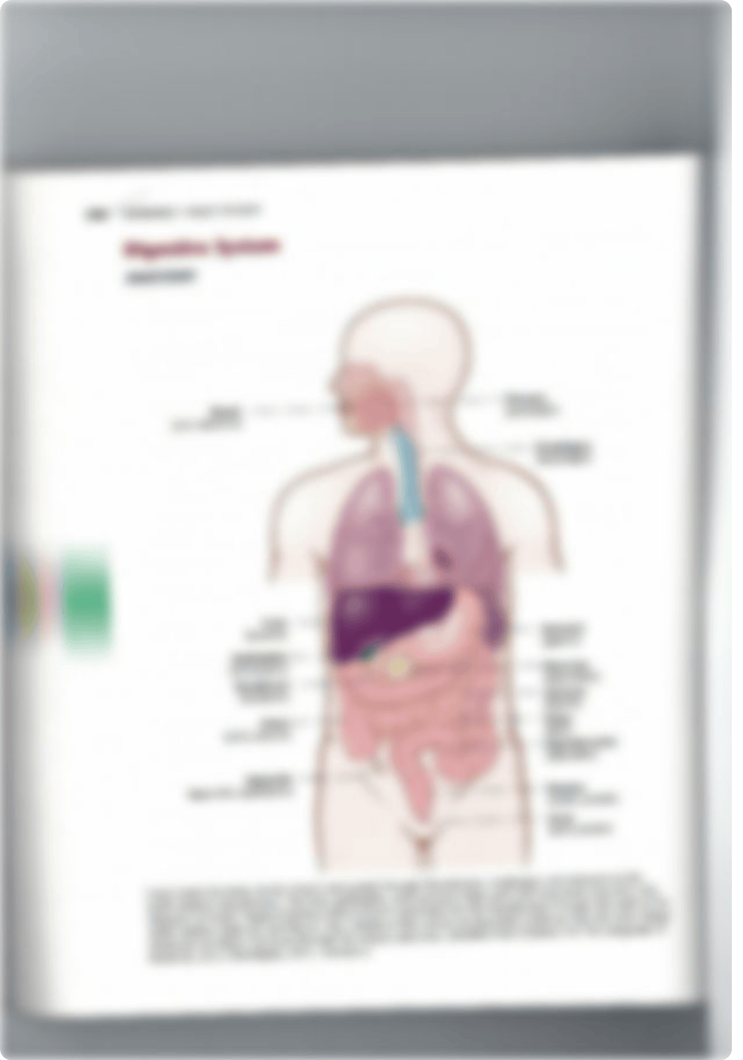 Medical Terminology Booklet.pdf_d3pxyz7mzty_page1