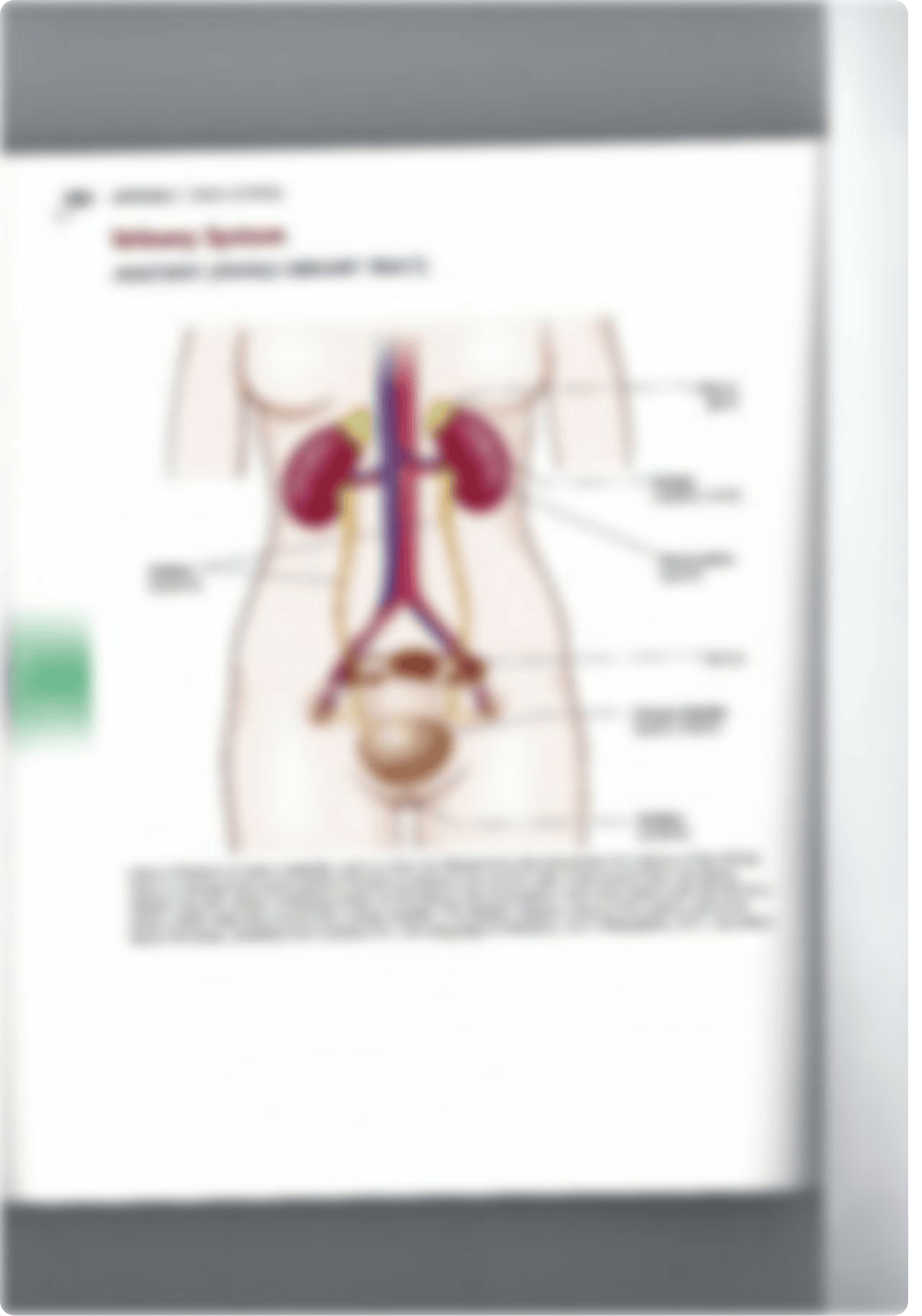 Medical Terminology Booklet.pdf_d3pxyz7mzty_page4