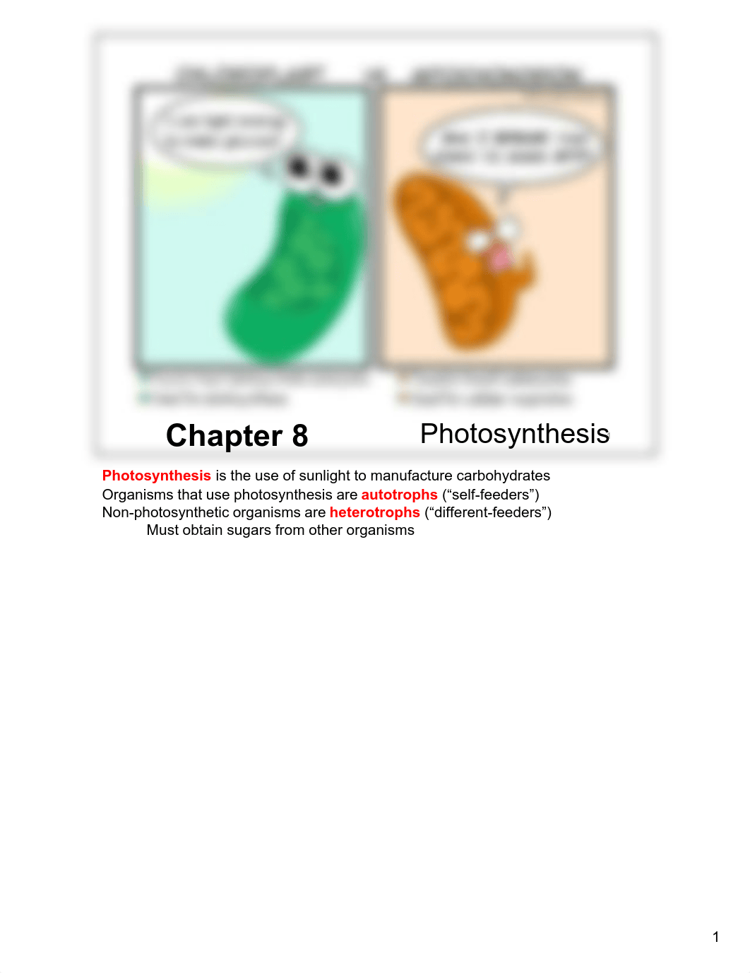 Ch 8- Photosynthesis - Notes LAyout.pdf_d3qcylpdn7u_page1