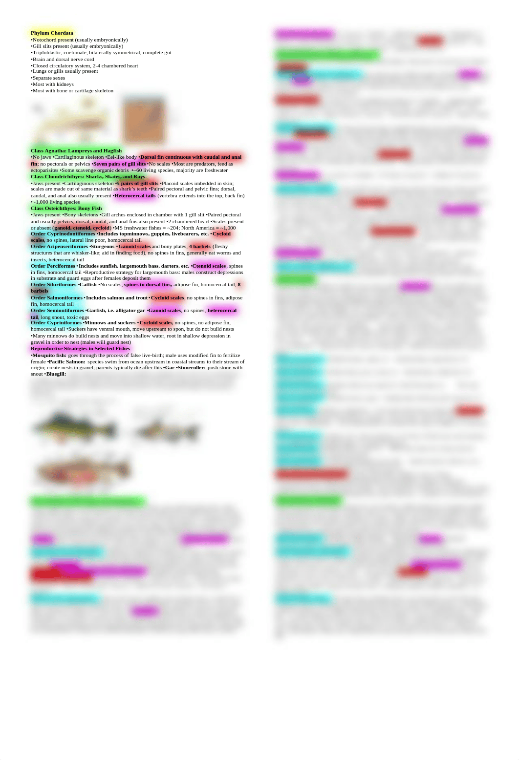 bio Exam 3 Cheat Sheet_d3qhzorjf30_page1