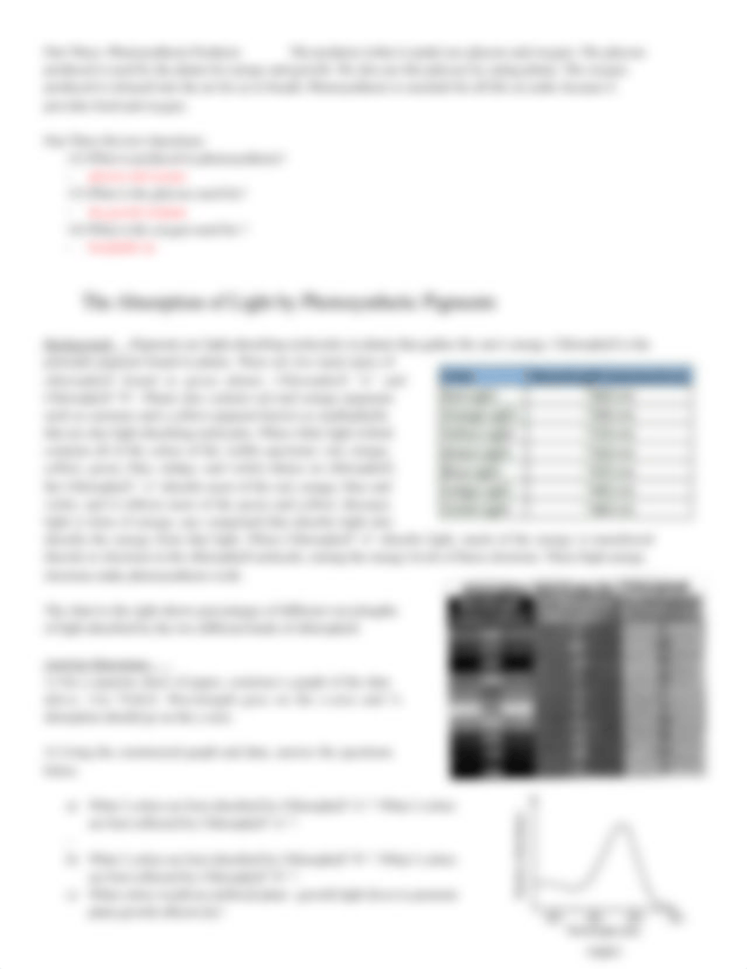 Photosynthesis Worksheet Absorption New!! (2).docx_d3qixpb7th9_page2