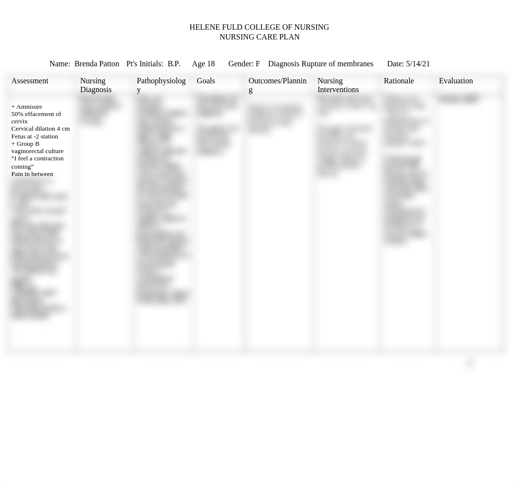 NUR 233 Nursing Care Plan Outline.docx_d3qov4brhrw_page2