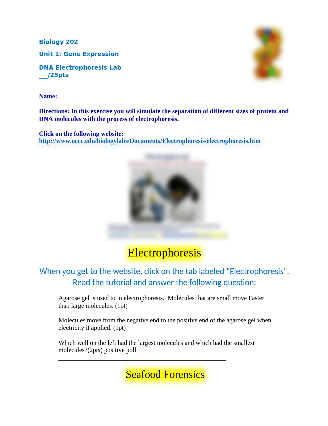 DNA Electrophoresis_d3r69kejhxb_page1