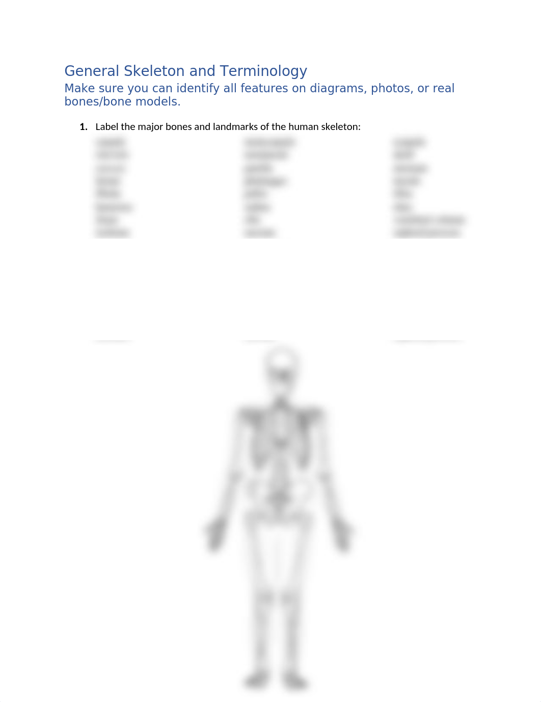 Bone Lab (1).docx_d3r72pyr80e_page3