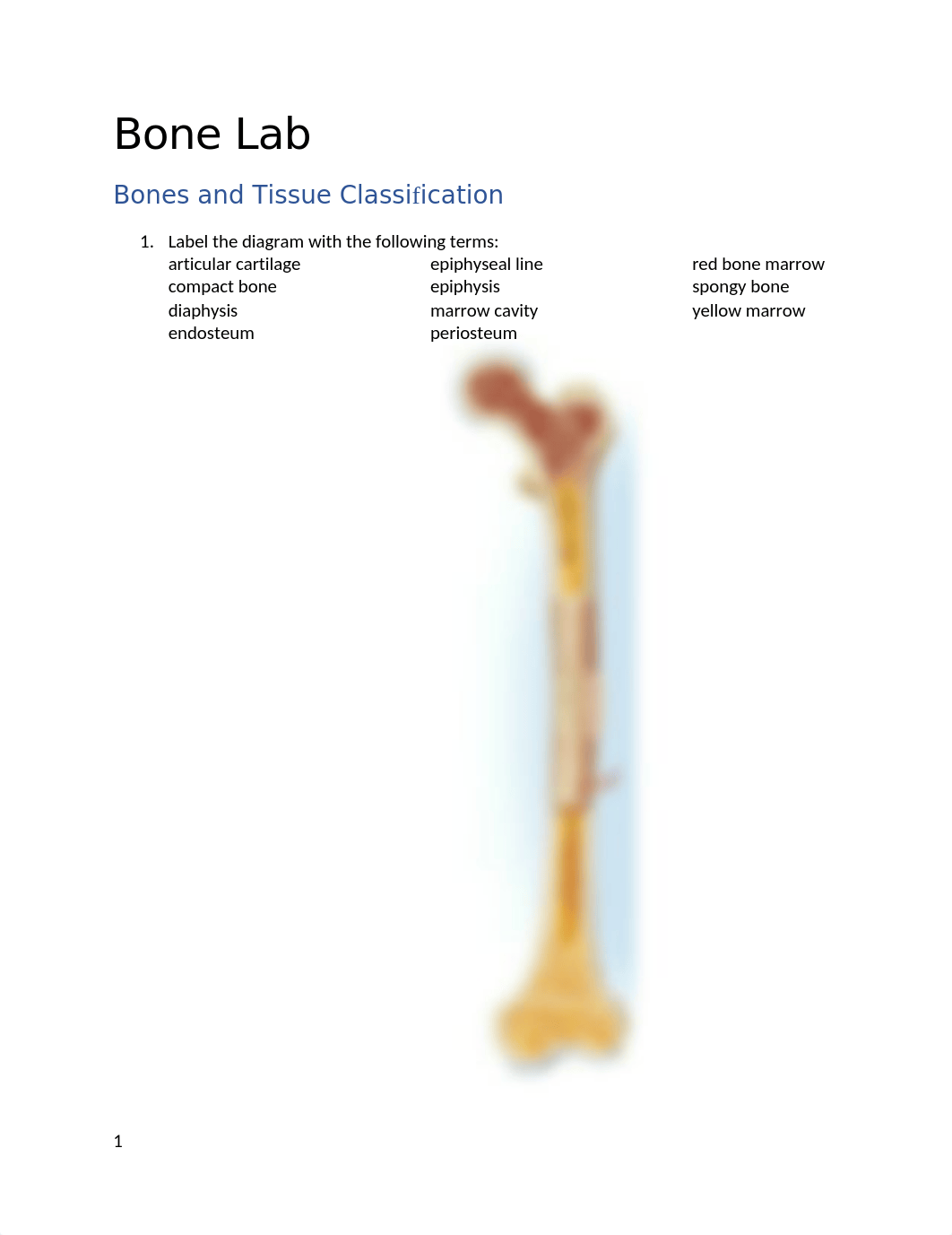 Bone Lab (1).docx_d3r72pyr80e_page1