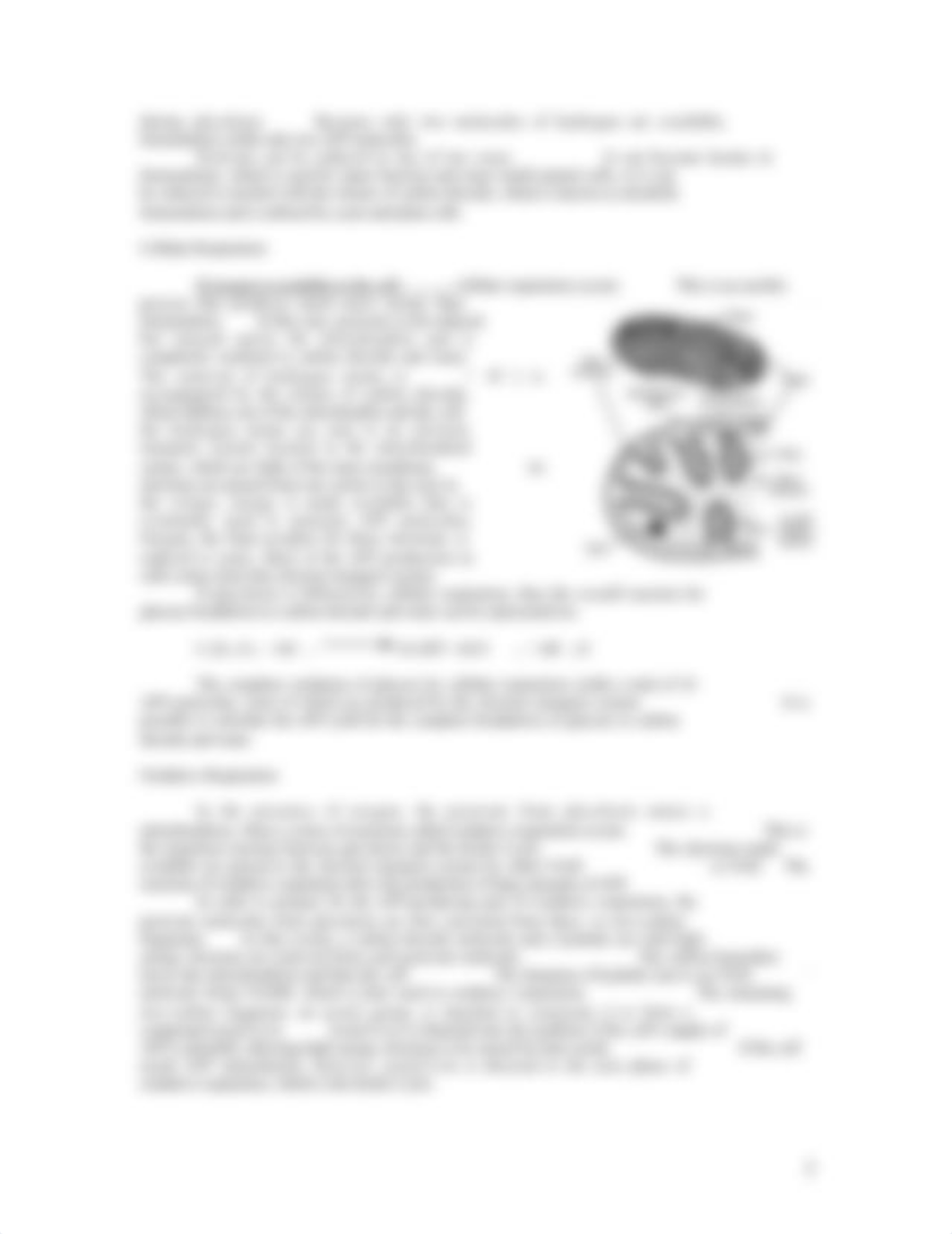 6_ AP Cellular Respiration (1).doc_d3r7qa0hyyg_page3