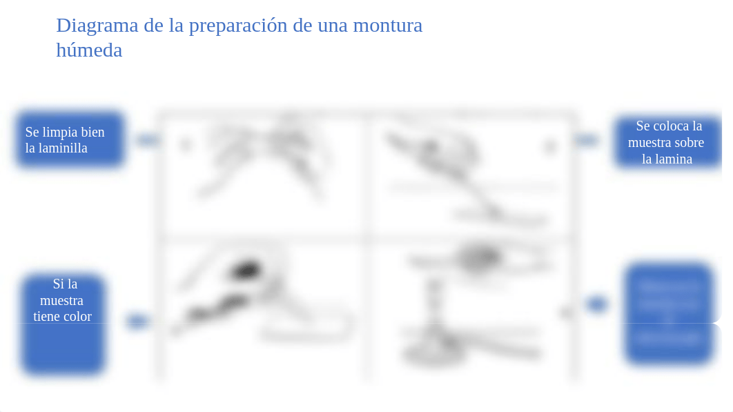 Diagrama de la preparación de una montura húmeda.pptx_d3raalc4iqp_page3