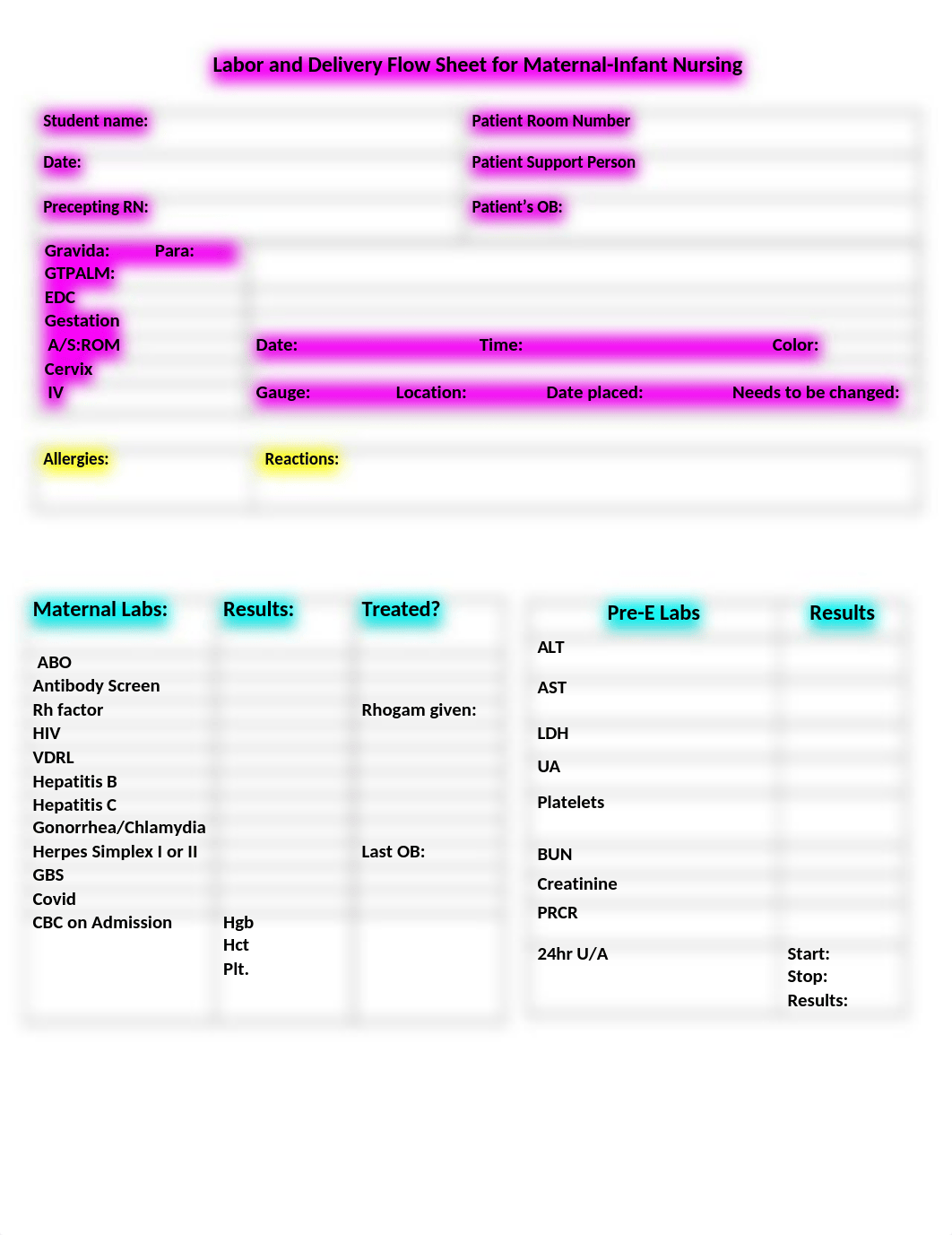 Spring 2022 Labor and Delivery Flow Sheet for Maternal.docx_d3rh8trzgje_page1