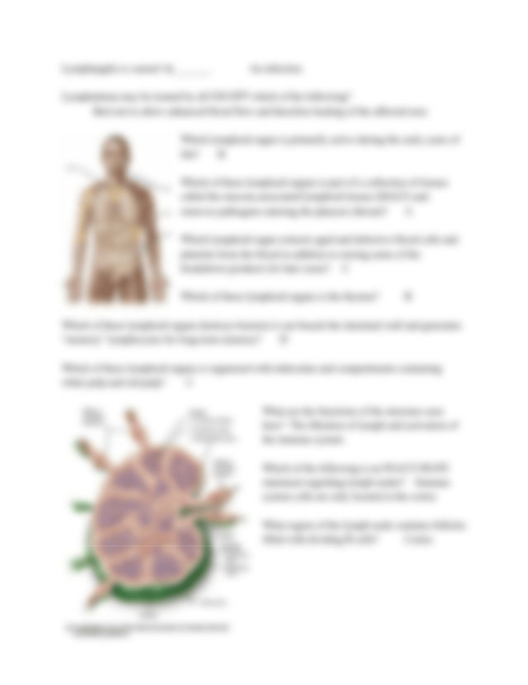 Lymphatic System.pdf_d3ry87wk6xk_page2