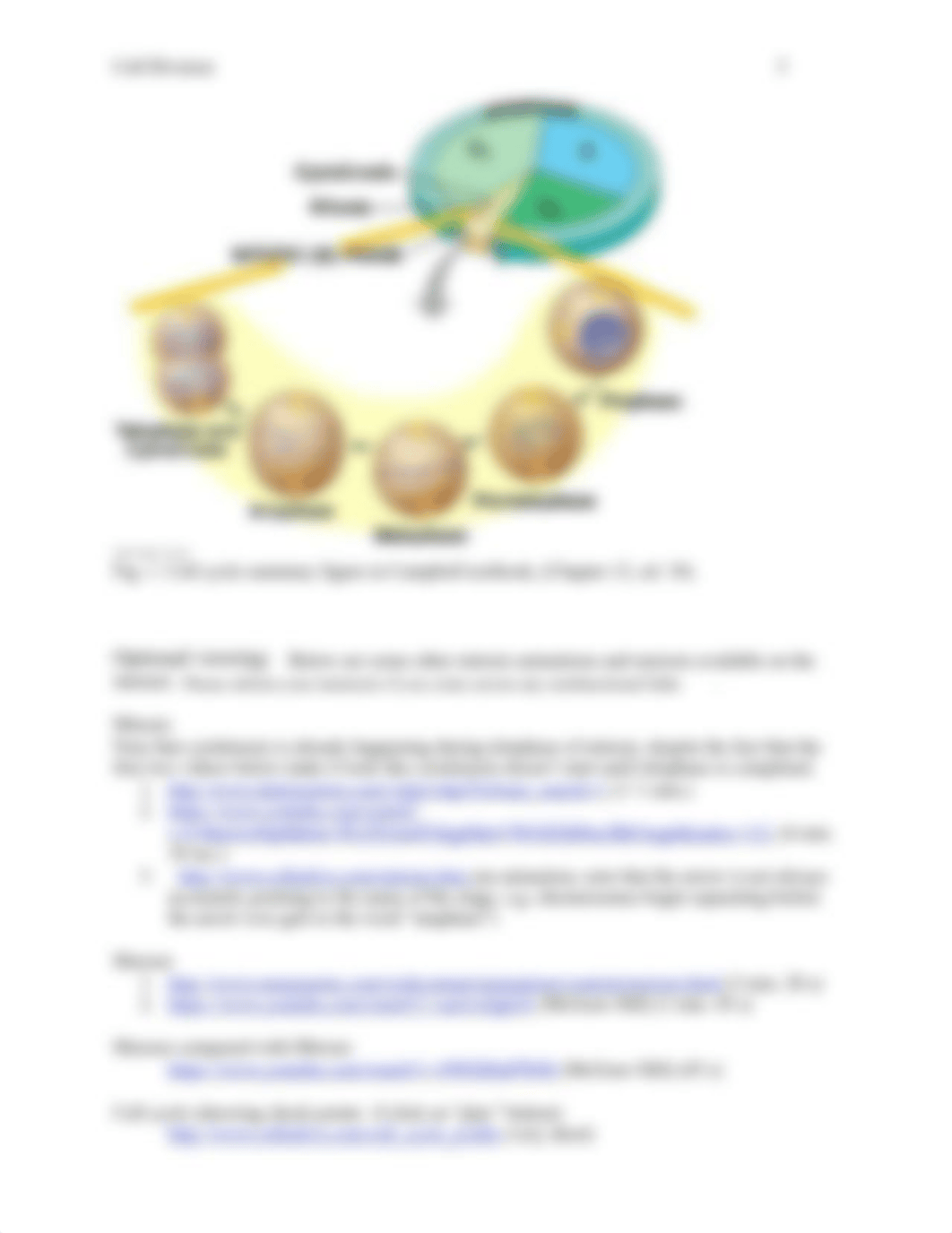 Cell division lab-virtual version.doc_d3rzy9kaq4w_page3