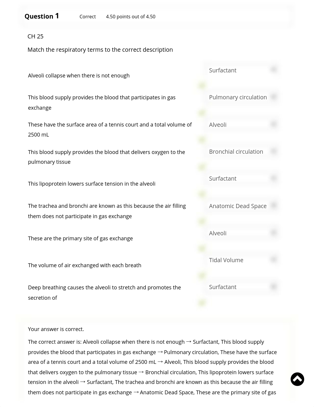 Respiratory System Learning Activity.pdf_d3s0kwivlep_page1