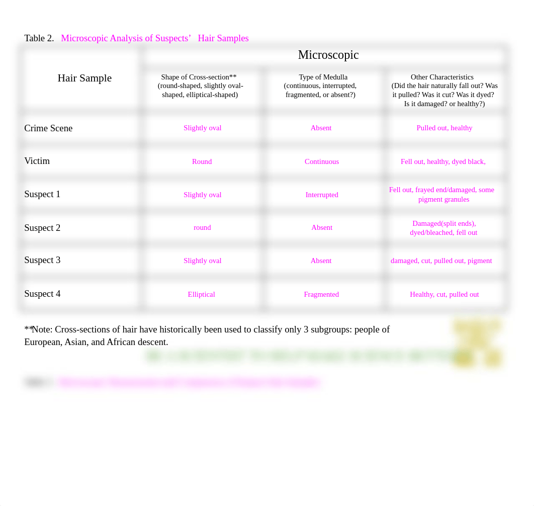 Copy of Copy of A Hairy Situation_ Crime Scene Hair Comparison.docx_d3s21lwp74t_page2