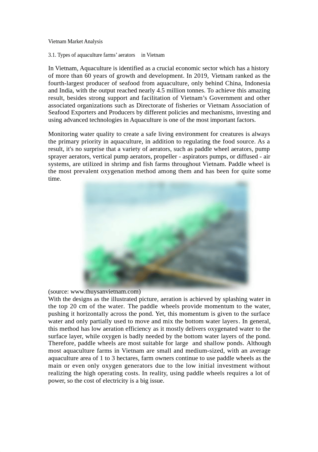 Vietnam Market Analysis.docx_d3s6dthi6hl_page1