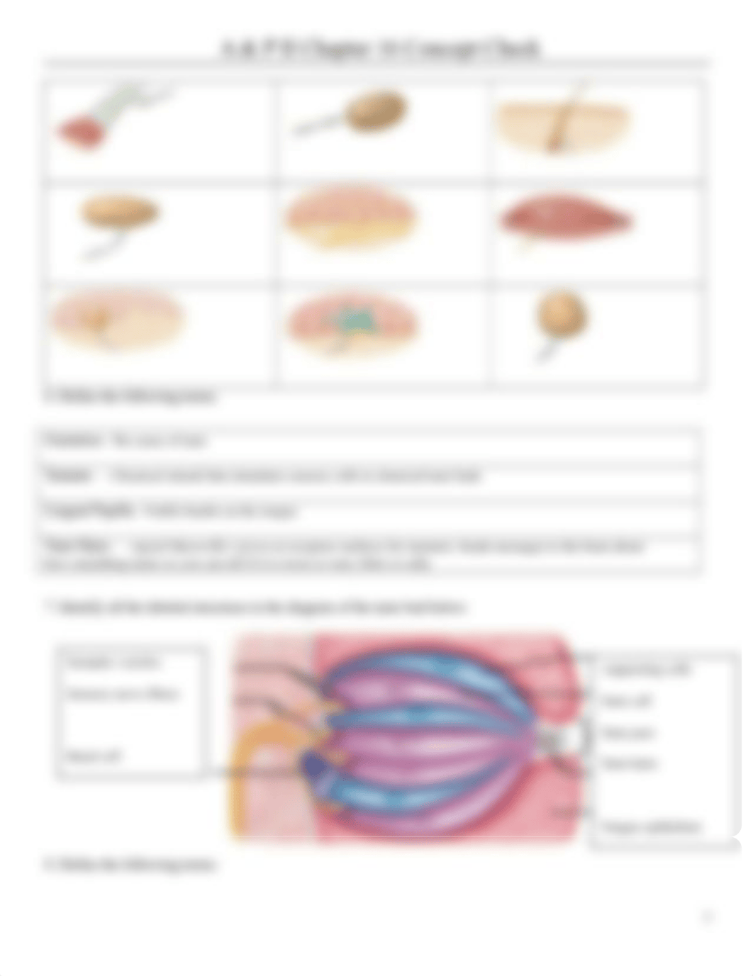 Chapter 16 Concept Check.docx_d3sf5v7vlni_page2