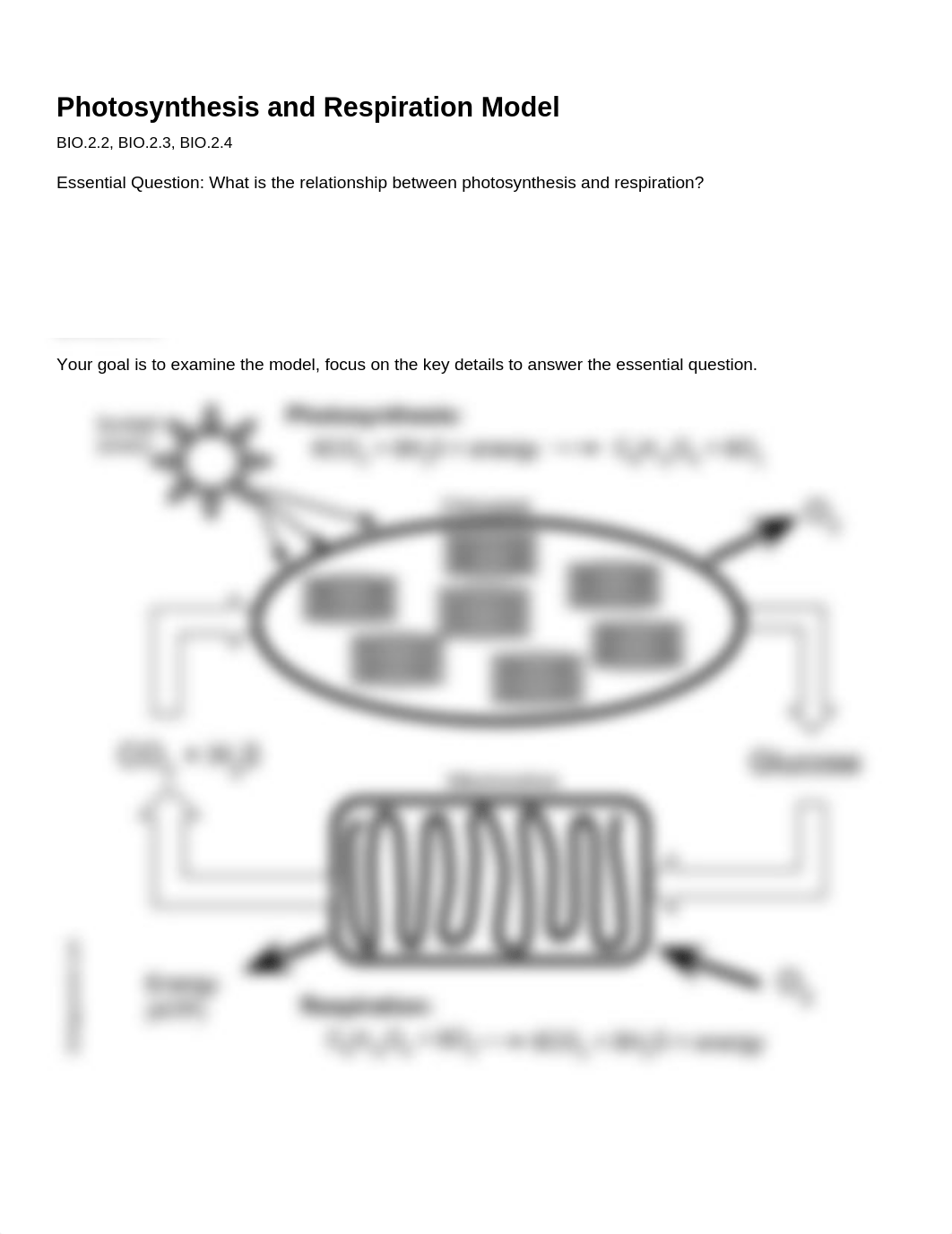 Photosynthesis and Respiration Model (1).docx_d3sjj4k4v00_page1