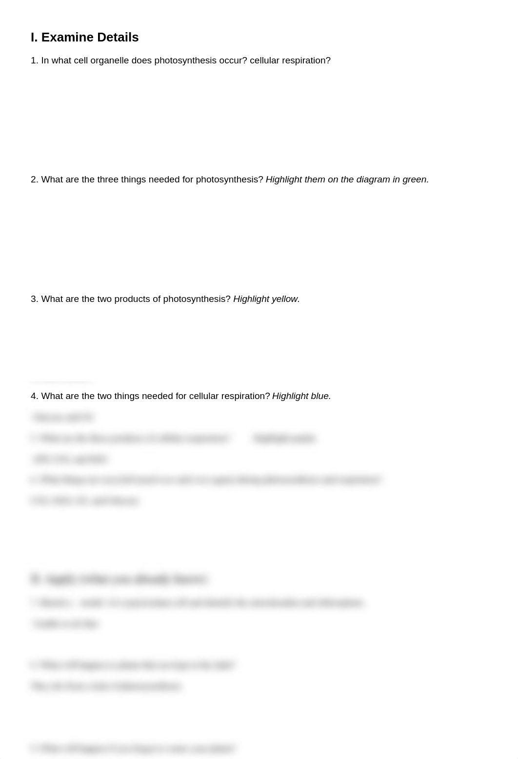 Photosynthesis and Respiration Model (1).docx_d3sjj4k4v00_page2