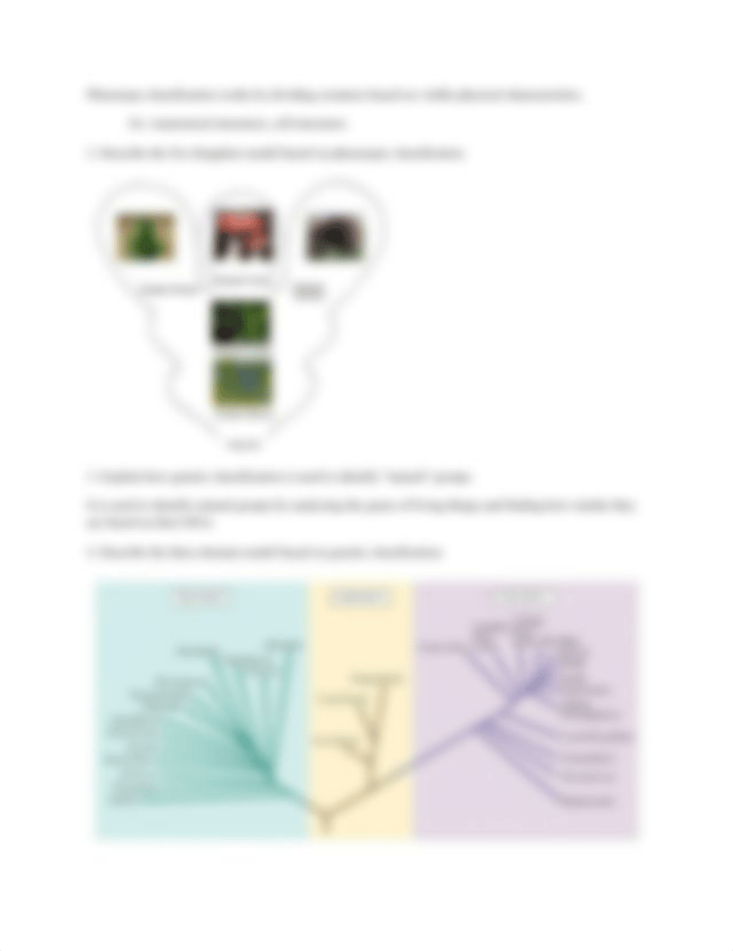 BIOLOGY 5 LEARNING OBJECTIVES Set 4_d3sl3isp7db_page4