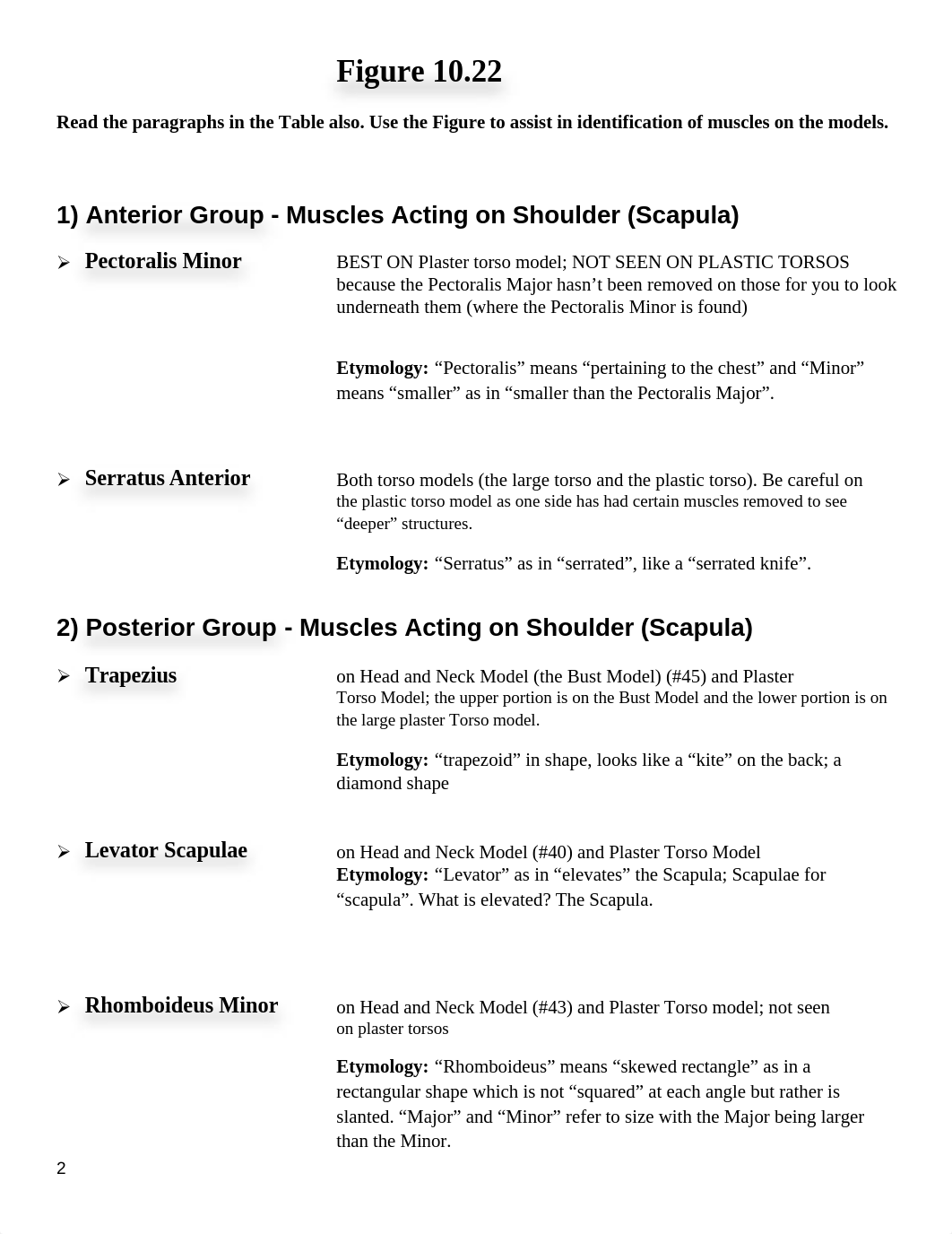 Lab Exam III Packet 6 Skeletal Muscles_d3sqycqtyjl_page2