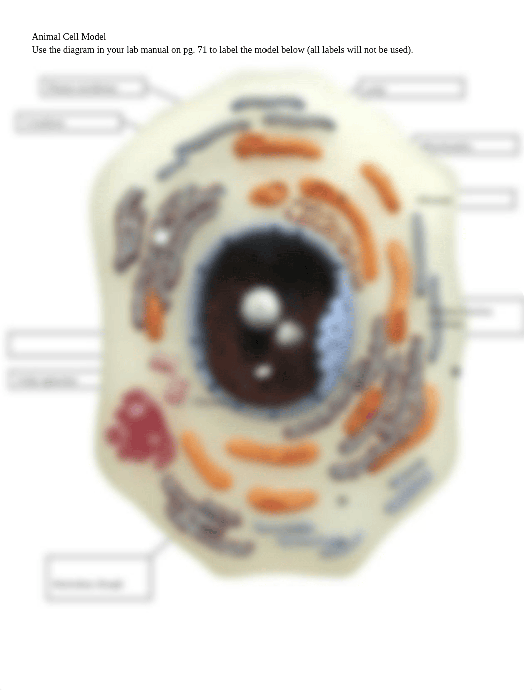 Animal Cell Model_Chiwara.Louise.docx_d3sts3ishda_page1