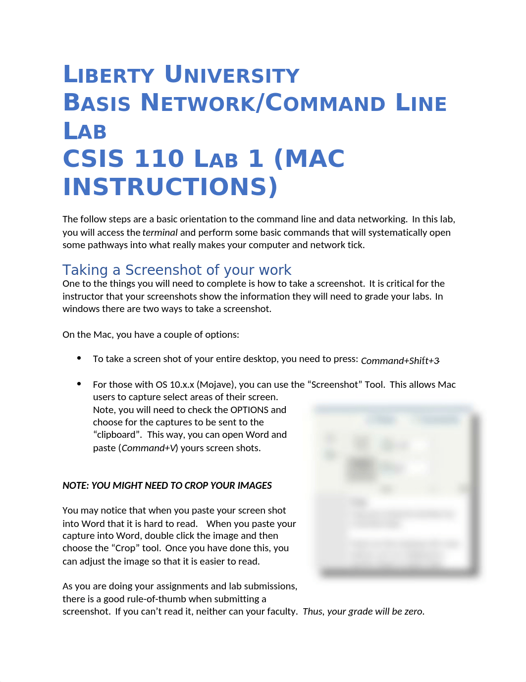 Mac Terminal Lab v2(1).docx_d3sxq1au0o2_page1