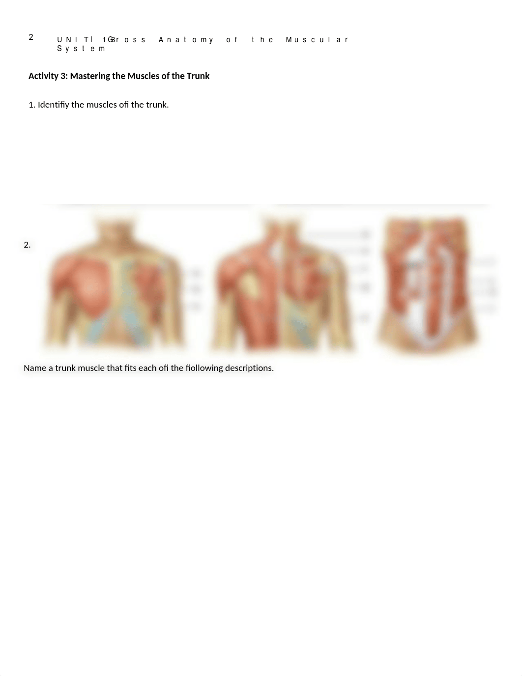 6. Unit 6 laboratory exercise 13.docx_d3syj9iz1p9_page2