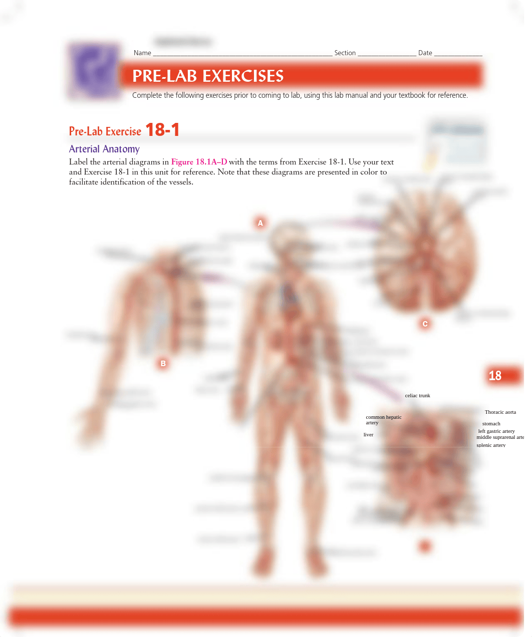 Unit 18 Pre-Lab Exercise 18-1.pdf_d3t61w3quea_page1