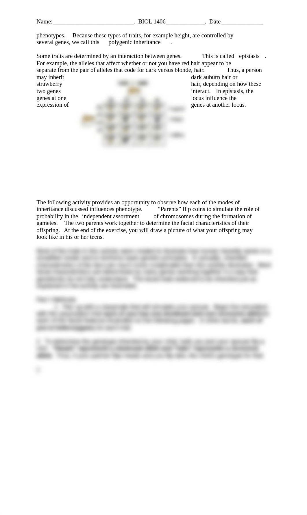 Lab 13 Human Variation.docx_d3t8lu7ydrc_page2