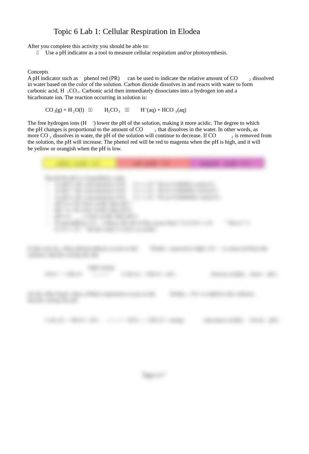 Topic 6 Lab Cell Respiration & Photosynthesis.docx_d3tfnd6t86g_page1