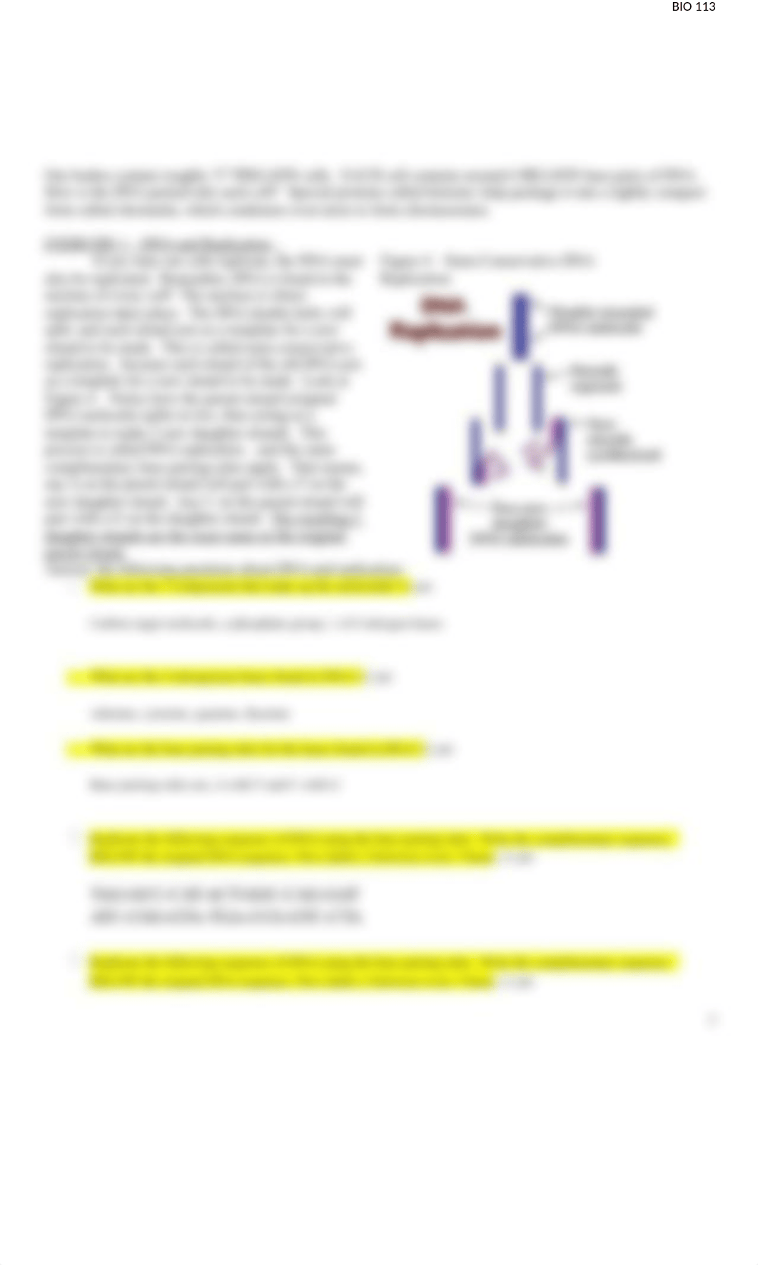 bio_113_online_dna_structure_replication_lab_experiment.docx_d3ti6dmgai6_page2