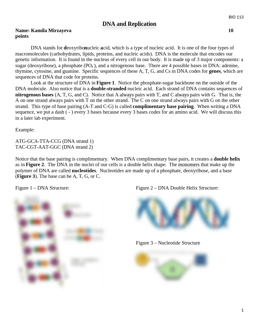 bio_113_online_dna_structure_replication_lab_experiment.docx_d3ti6dmgai6_page1