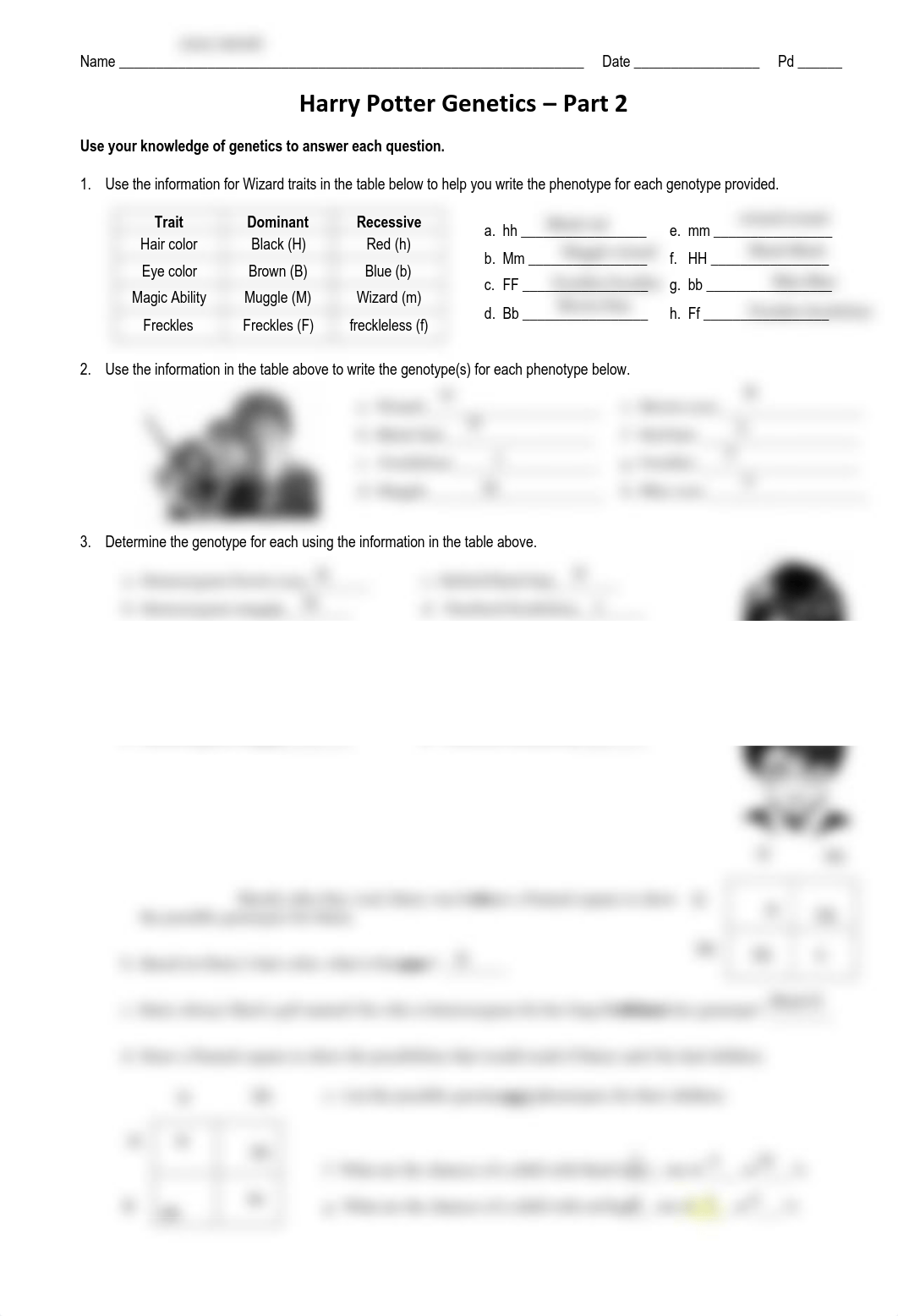 Kami Export - Harry_Potter_Mendelian_Genetics_Part_2.pdf_d3tlxytdycw_page1