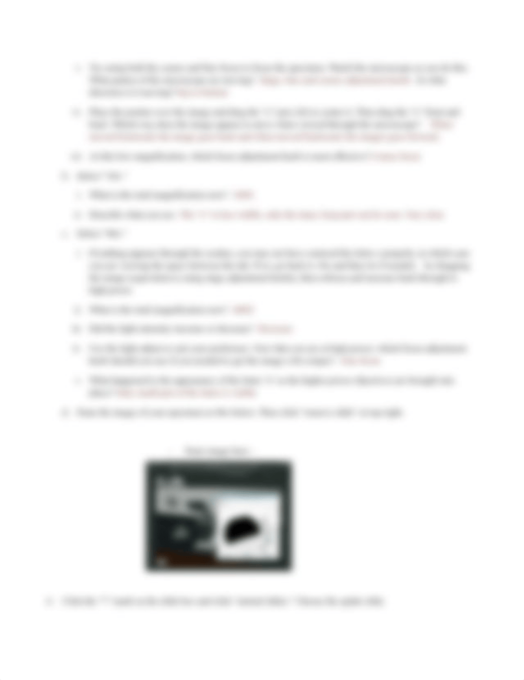 Virtual Microscope worksheet(3).docx_d3ts7fzl4wx_page3