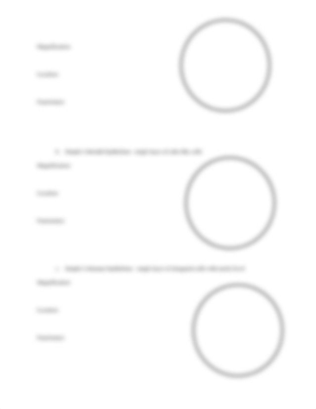 Lab 5 Worksheet_d3twic6k1sx_page2