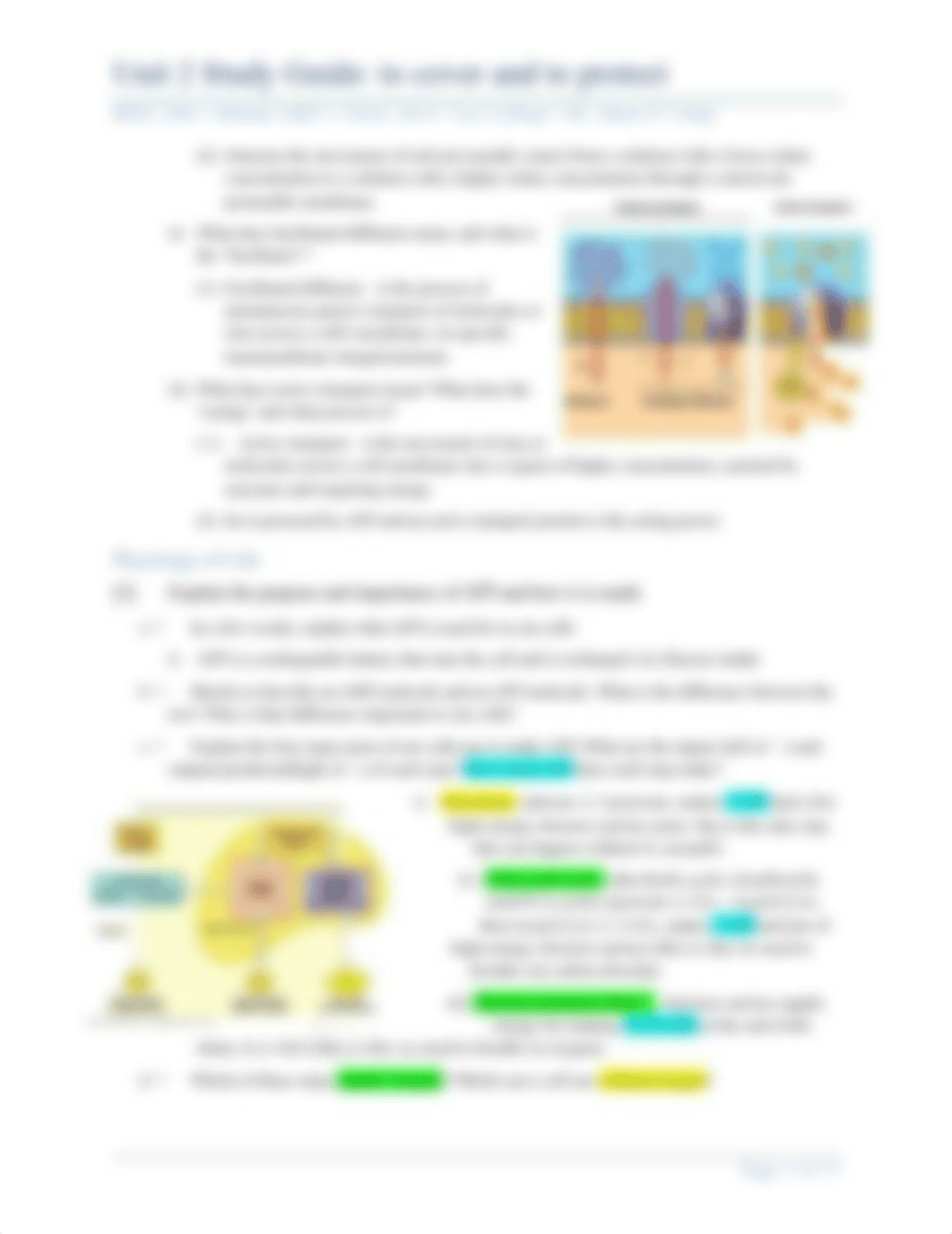 Exam 2 review.docx_d3ty4bm2m5n_page3