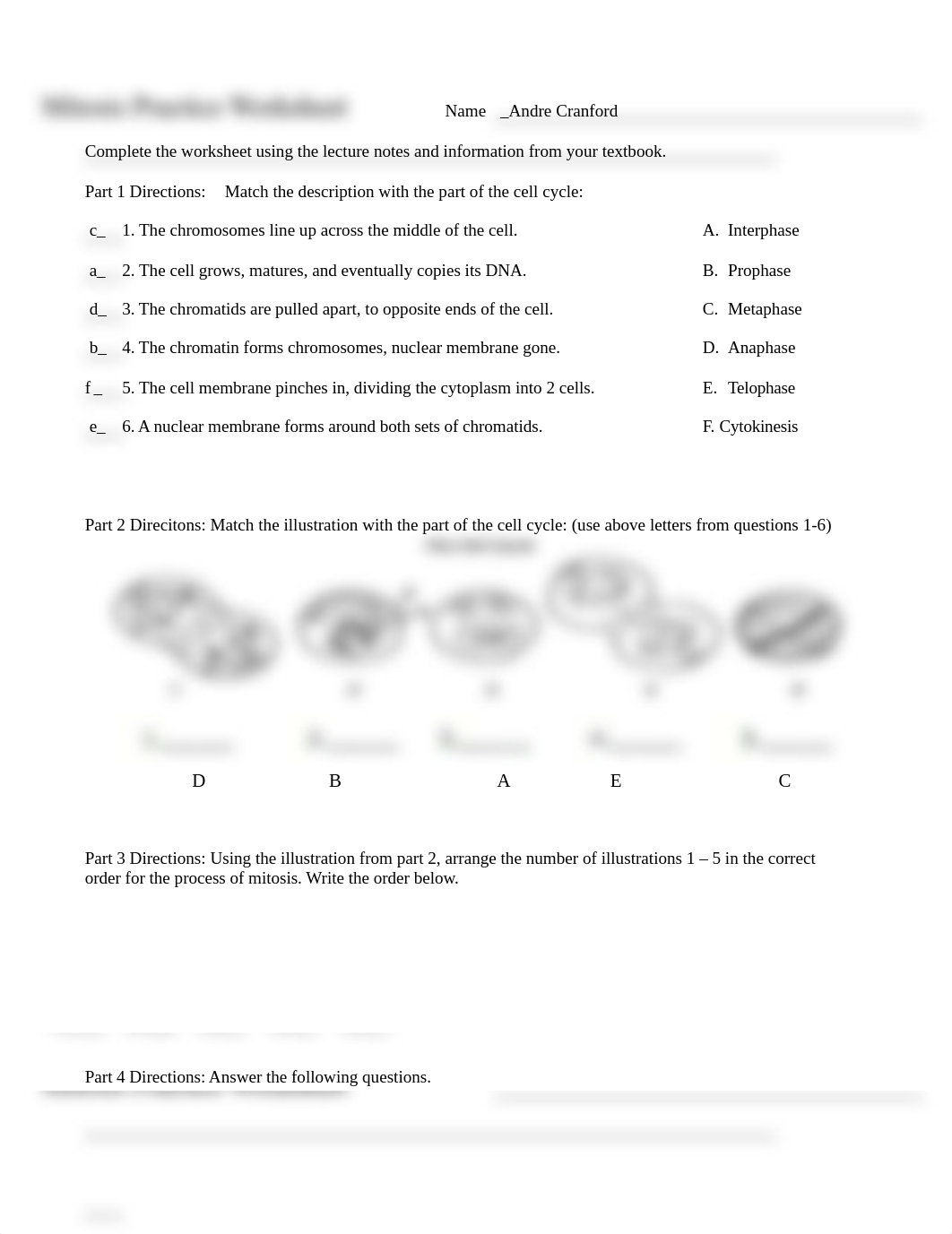 Mitosis_Worksheet_d3u3hcdy0xq_page1