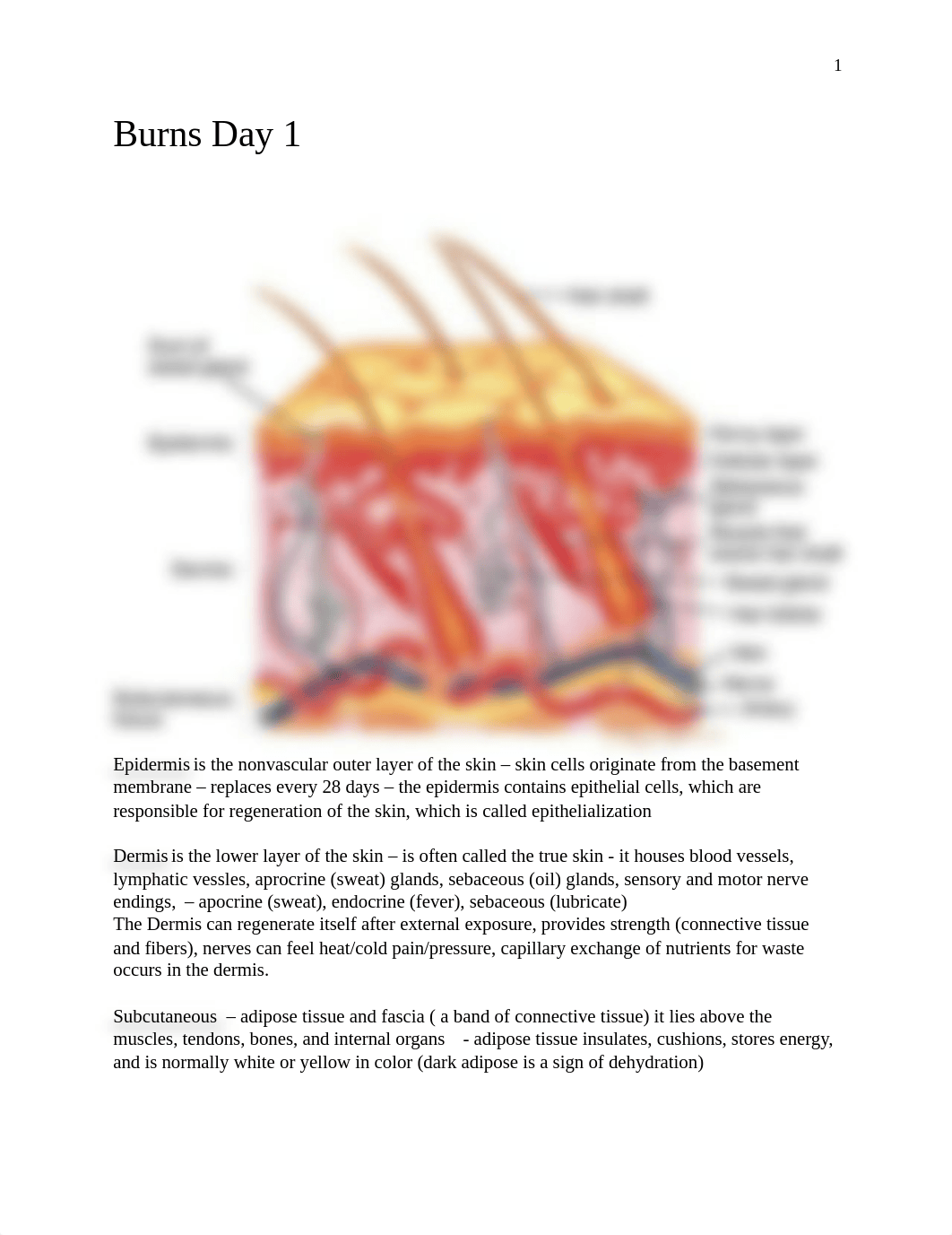 Burns Day 1 outline_Student_Spring 2017_d3u8pwns6yj_page1