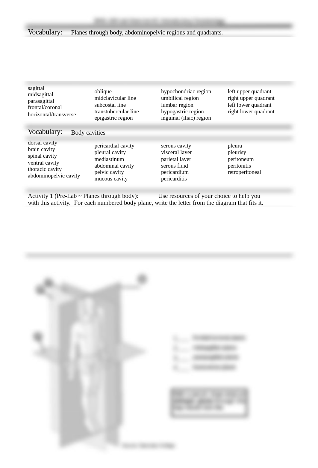 Lab 2 - Introductory Terminology .docx_d3u9q23lgnn_page3