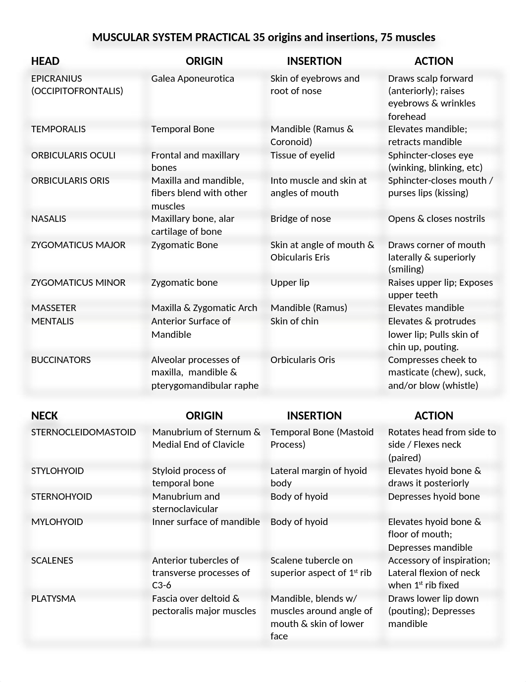 MUSCULAR SYSTEM PRACTICAL COMPLETE STUDY GUIDE ONLINE 2017.docx_d3ub2v6b759_page1