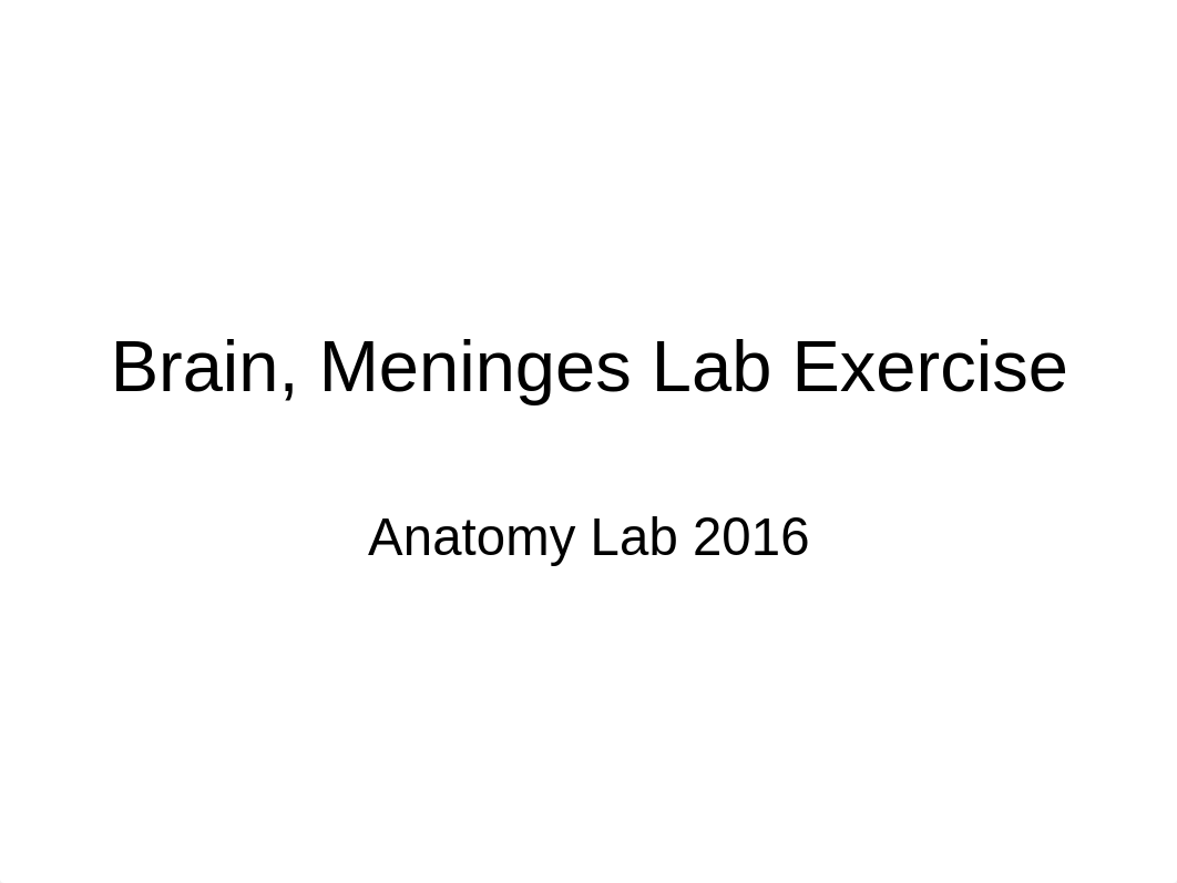 Brain, Meninges Cranial Nerve lab 2016_d3ue2km22w6_page1