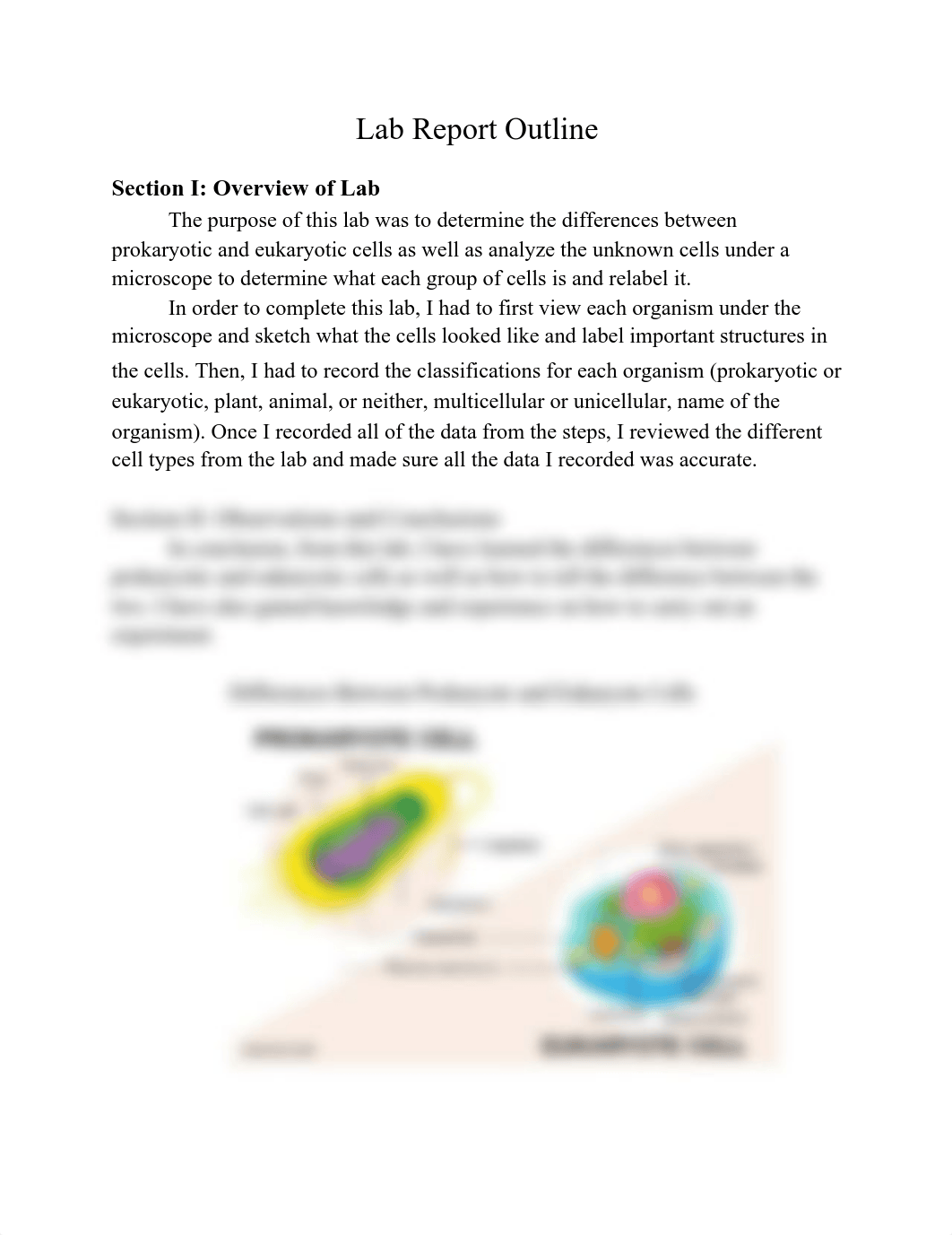 Exploring Cells Finished Lab Report.pdf_d3ueevrodaf_page1